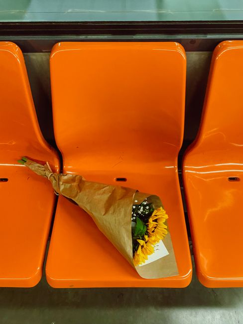 A bouquet of fresh yellow sunflowers wrapped in brown craft paper rests on an orange plastic seat at Bruce Grove station, ready for flower delivery or pickup. The bouquet features vibrant yellow petal